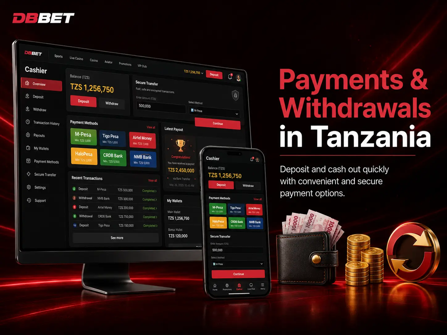 Payments and Withdrawals in Tanzania
